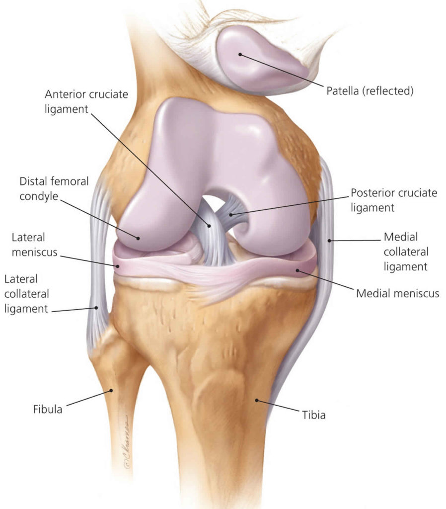 Knee Ligament Injury